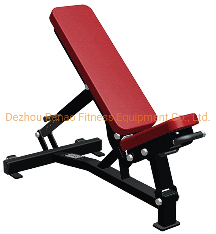 New Arrival Multifunction Fitness Gym Equipment Exercise Commercial Sit up Adjustable Bench