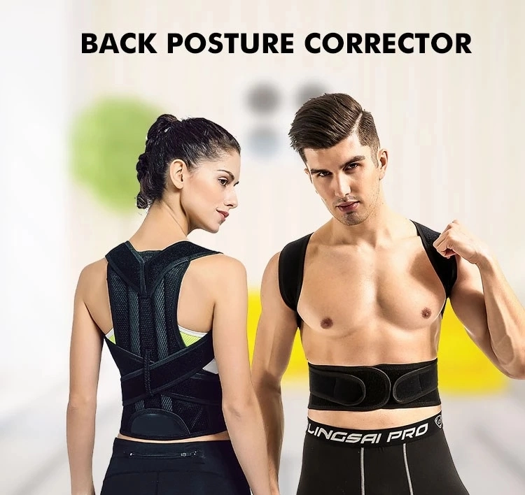 Back Orthosis Sports Back Protector Lumbar Back Support Wholesale
