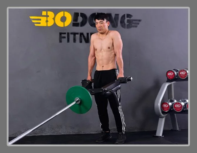 Weight Lifting Power Training Gym Fitness Equipment Manufacture Factory Price Trainer Handle