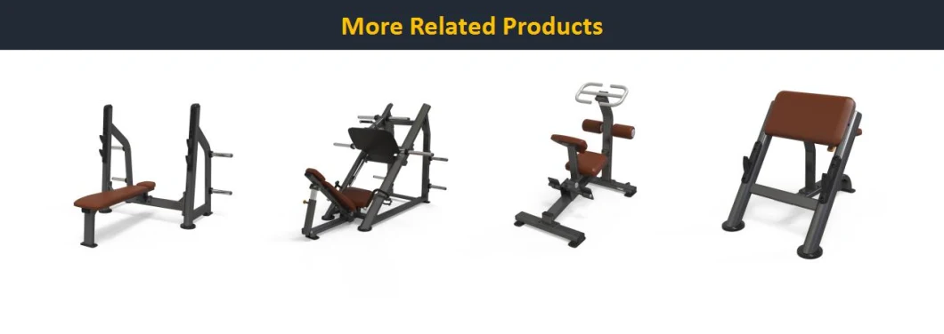 Wholesale Mutli Function Exercise Machine Adjustable Pull DIP Station