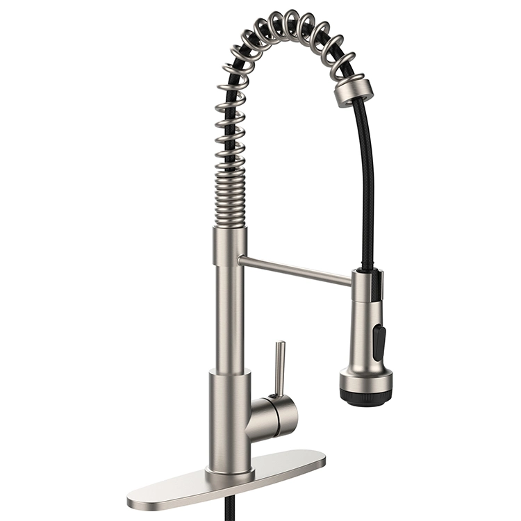 Sanipro New Dual Function Pull out Flexible Spout Single Lever Pull Down Sprayer Spring Kitchen Faucet with Deck Plate