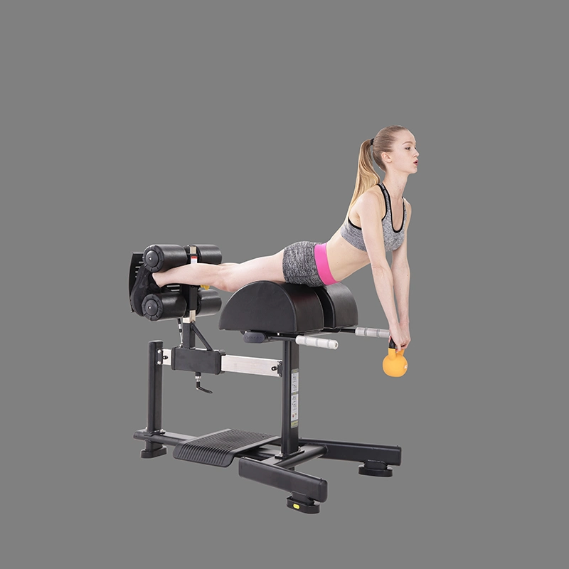 Hot Professional Exercise Equipment Gym Equipment Station Easy Chin up DIP Station Machine