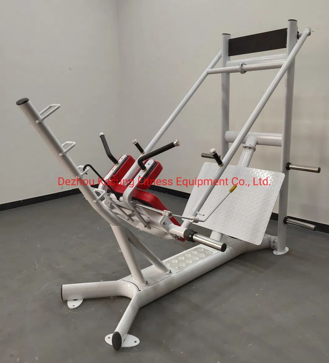Fitness Equipment Commercial Gym Equipment with Belt Squat Row