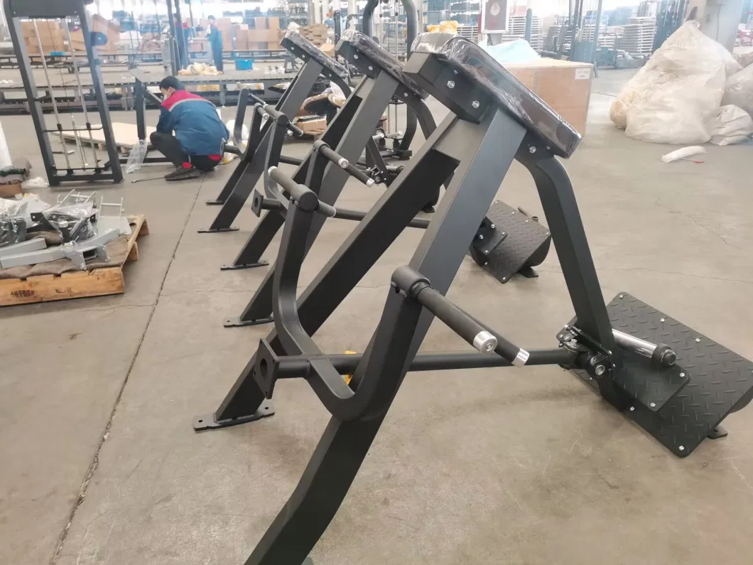 China Professional Complete Indoor Gym Club Fitness Gc-5094 Belt Squat Commercial Gym Equipment