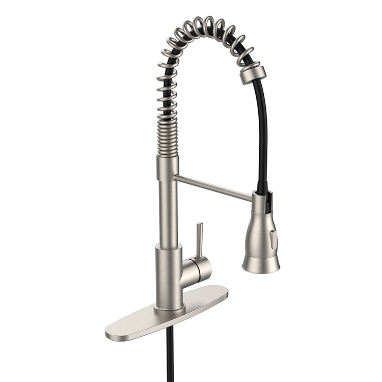 Sanipro New Dual Function Pull out Flexible Spout Single Lever Pull Down Sprayer Spring Kitchen Faucet with Deck Plate
