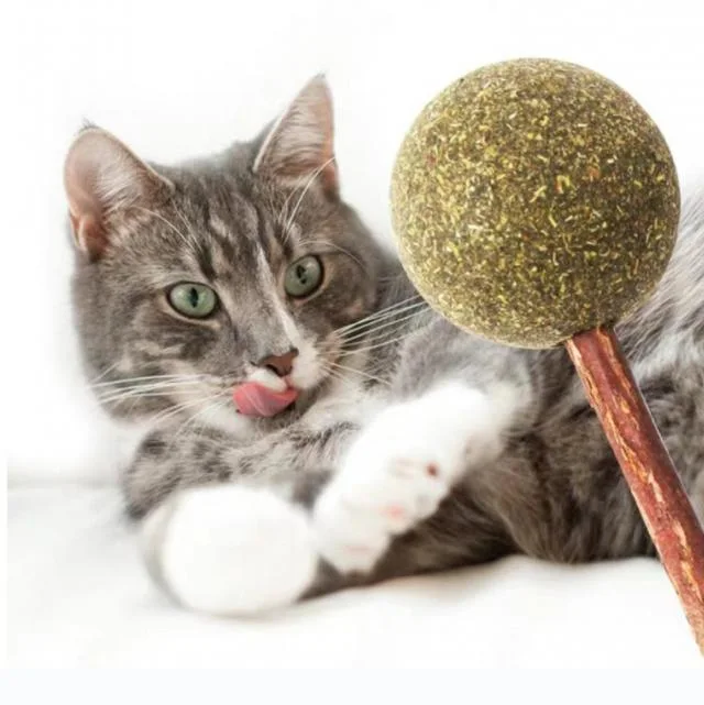 Mu tian liao Cat Cleaning Teeth Catnip Pet Cat Molar rod