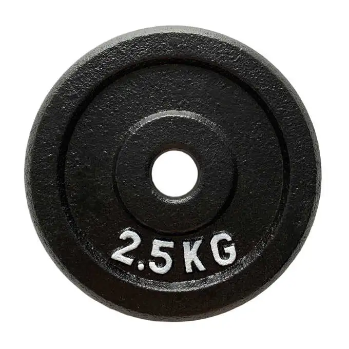 Cast Iron Grey Hammertone Free Weight Plate for Barbell and Dumbbells