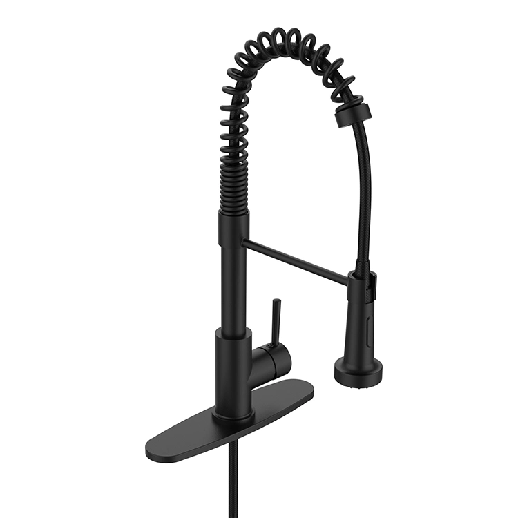 Sanipro Cupc Matte Black Orb Pull out Flexible Spout Tap Spring Pull Down Zinc Alloy Kitchen Faucet with Stainless Steel Panel