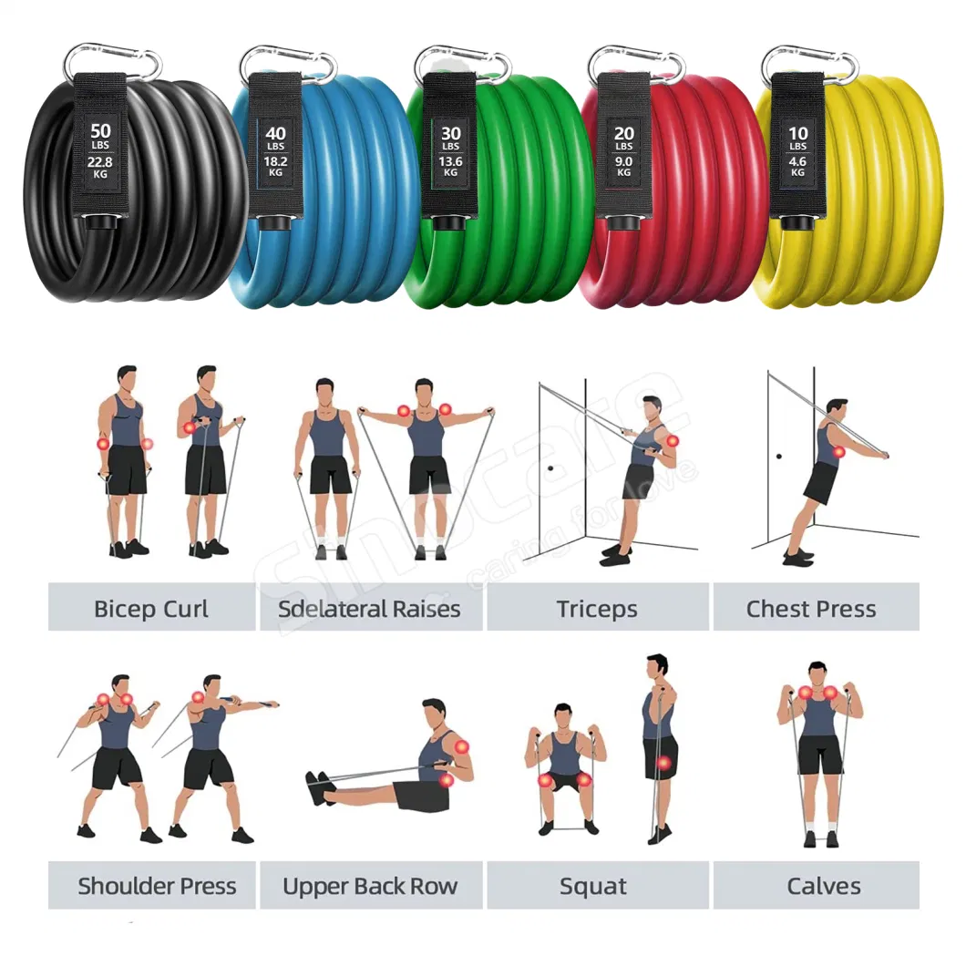 Sincare 11 PCS Elastic Fitness Rope Set 150lb Heavy Power Stretch Expander Tube Resistance Exercise Band