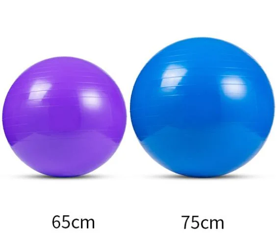 Hot Selling Colorful Yoga Ball Fitness Wholesale Exercise PVC 65cm 75cm Pilates Yoga Ball