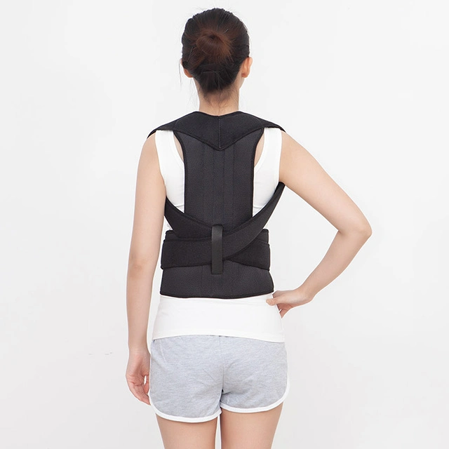 Wholesale Back Orthosis Sports Back Protector Lumbar Back Support