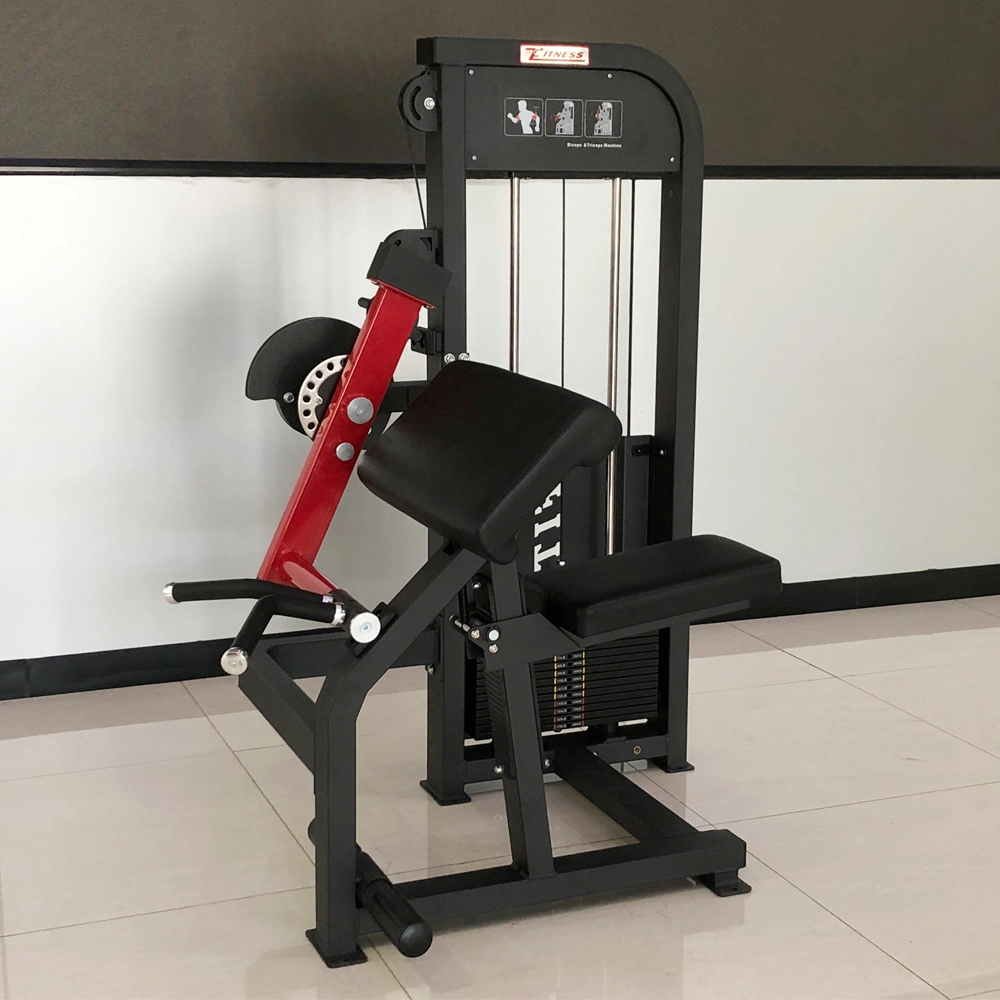 Sample Customization Commercial Gym Strength Arm Exercise Machine Biceps Curl and Triceps Extension Machine