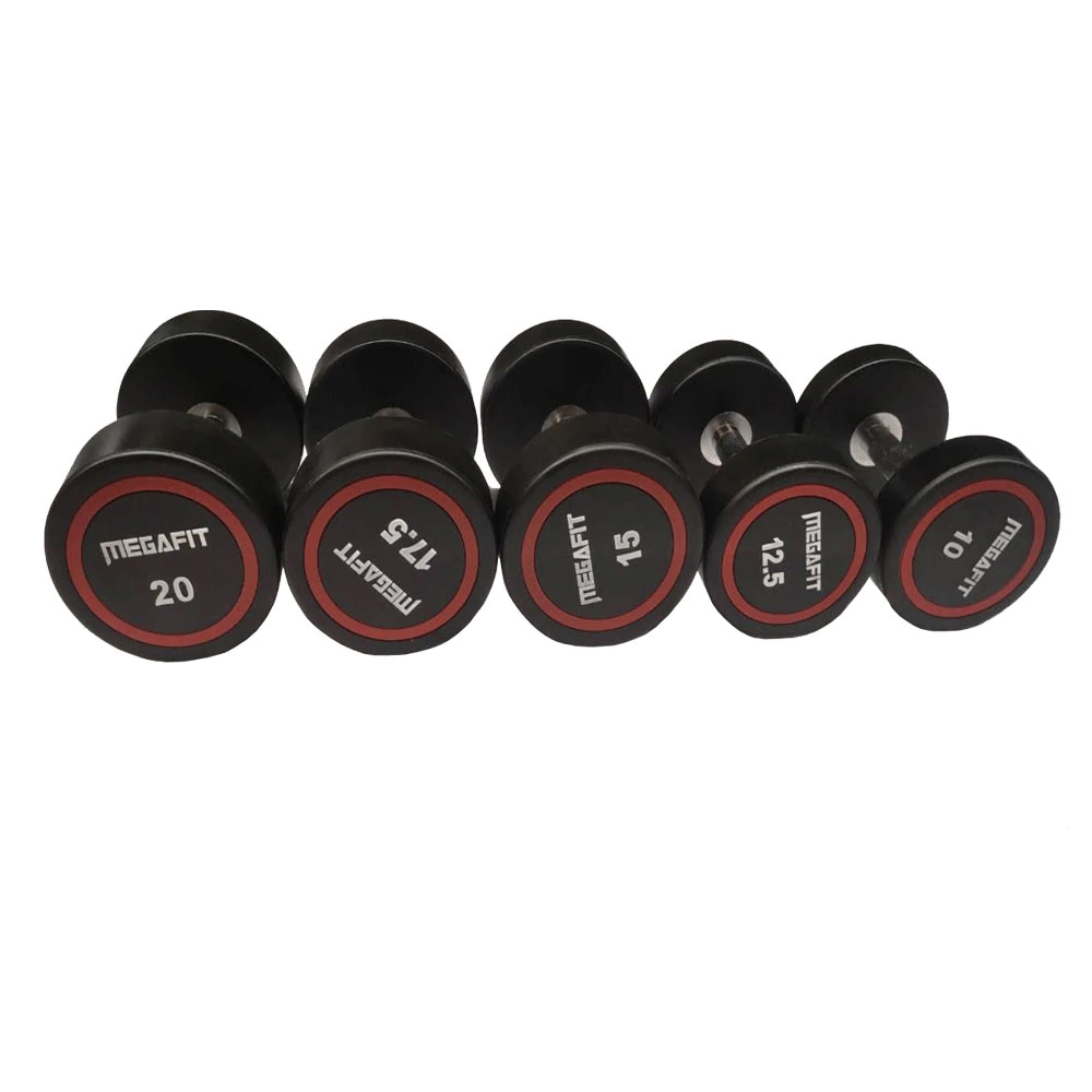 CPU Coated Solid Steel Cast Dumbbells for Muscle Training Full Body Workout, Home Gym/OEM