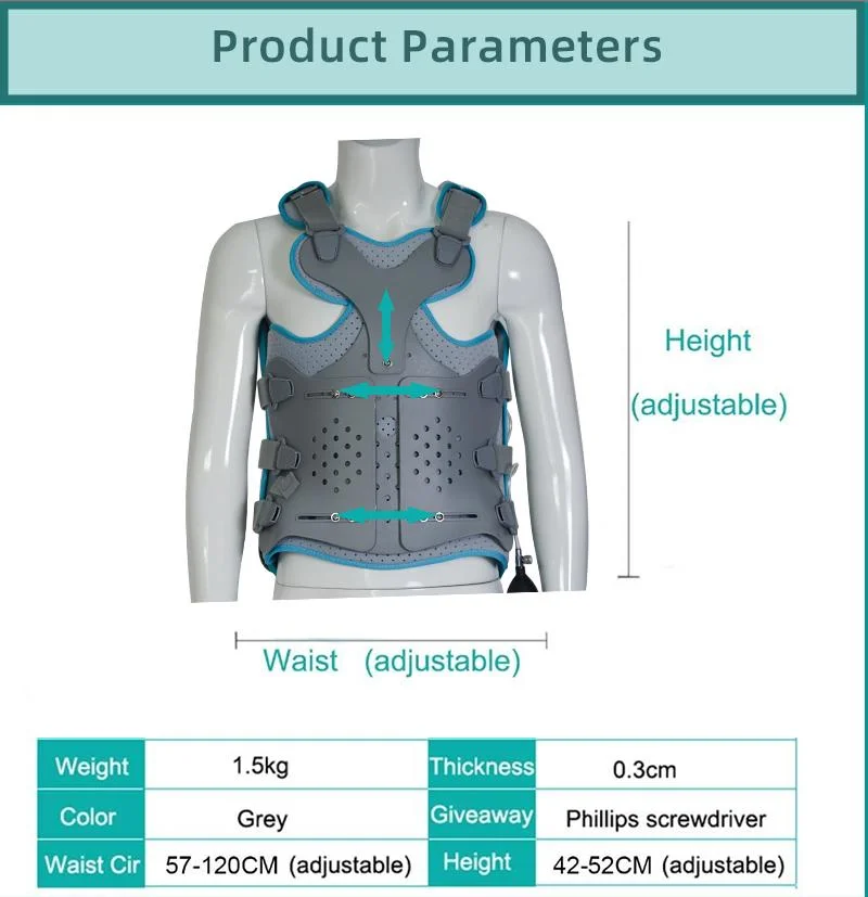 Lumbar Support Orthosis Orthopedic Lumbar Back with Air Pump Lumbar