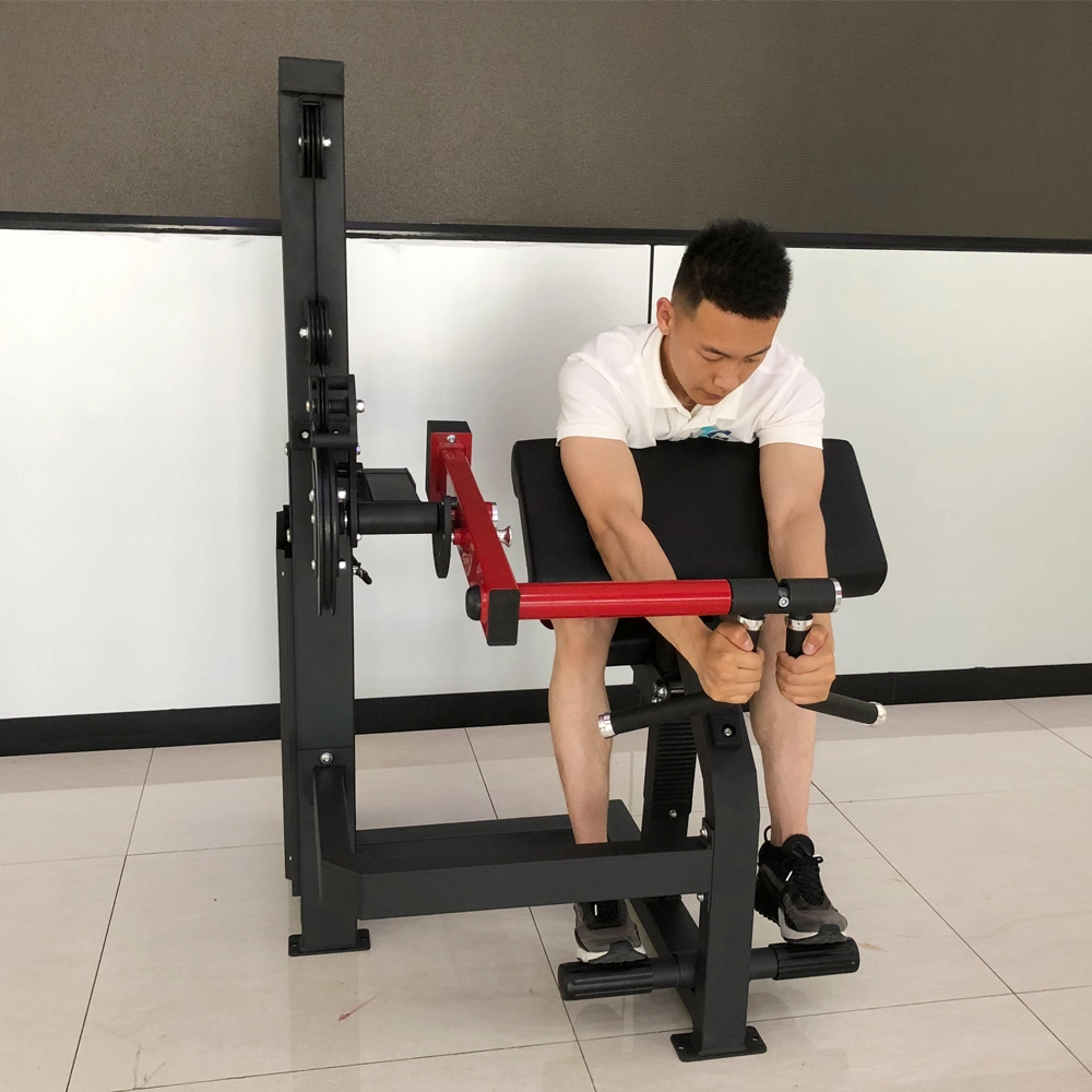 Sample Customization Commercial Gym Strength Arm Exercise Machine Biceps Curl and Triceps Extension Machine