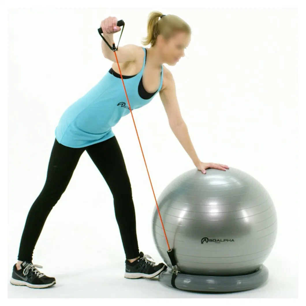 Exercise Ball Chair System - Yoga and Pilates 65 Cm Ball with Stability Base and Workout Resistance Bands for Gym, Home or Office Esg13023