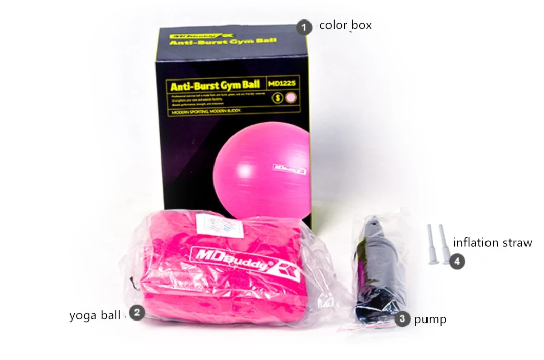 Yoga Ball Exercises Yoga Ball Workout with 55cm 65cm 75cm