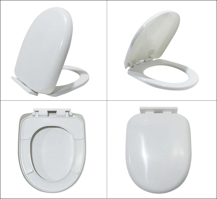 Bathroom Economic PP Material D Shape Toilet Seat