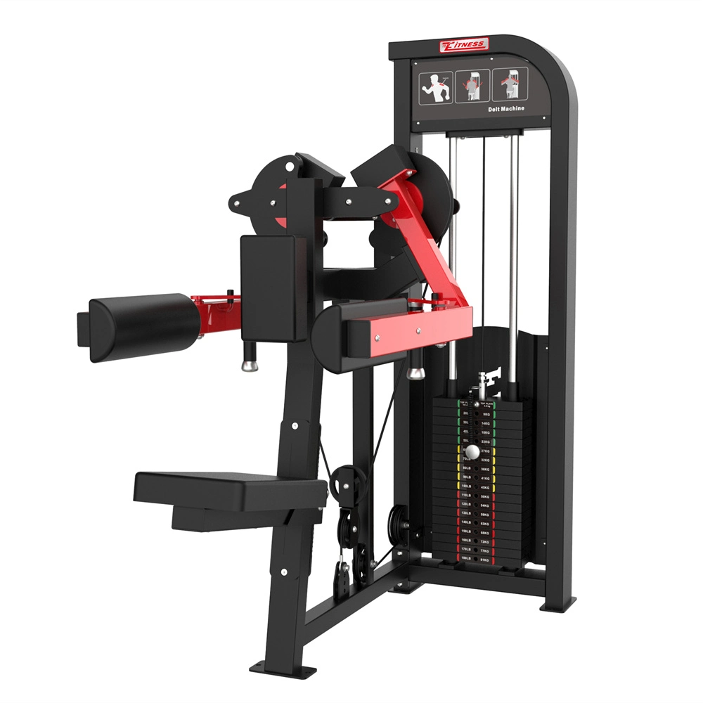 Tz-Gc5010 Delt Machine Commercial Fitness Equipment Pin Loaded Gym Equipment