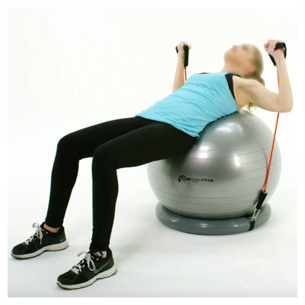 65 Cm Ball with Stability Base and Workout Resistance Bands - Exercise Ball Chair System - Yoga and Pilates for Gym, Home or Office Wbb13023