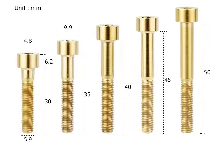 Titanium Alloy Screw M2-M8X10-80mm Seat Pipe Clamp Reinforcement Plate Screw