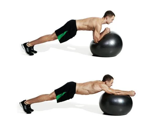 Dfaspo New Design Arrival Gym Pilates Balance PVC Eco-Friendly Yoga Toning Ball for Gym/ Physical Exercise/Fitness Tool
