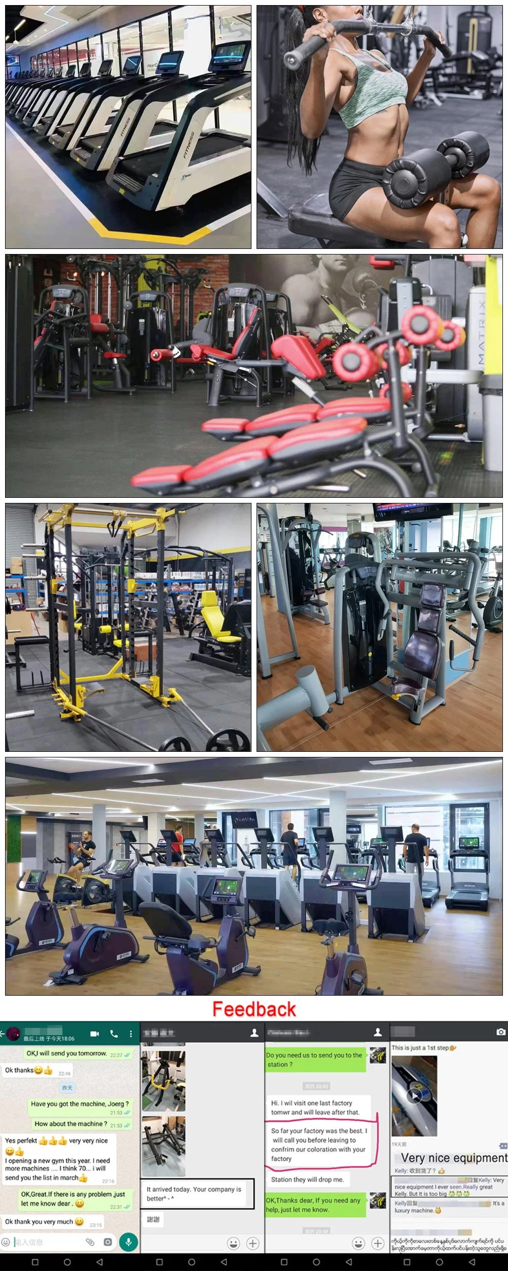 Sample Customization Commercial Gym Strength Arm Exercise Machine Biceps Curl and Triceps Extension Machine
