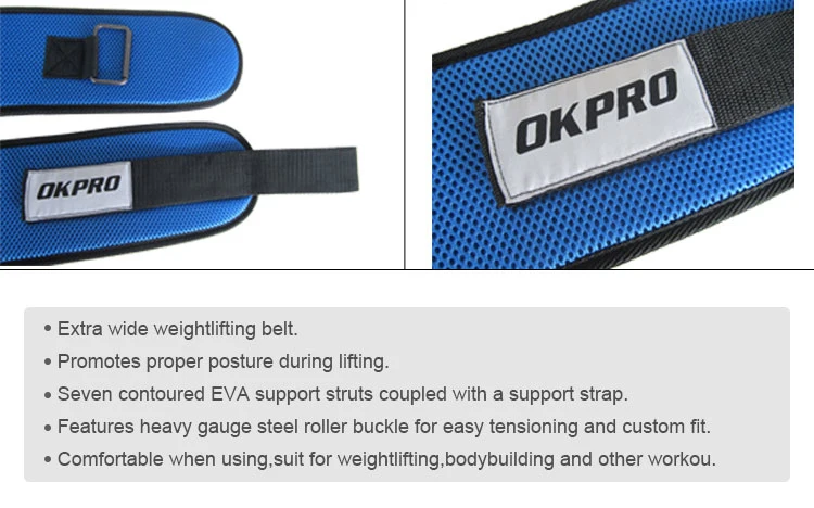 Wholesale Workout Custom Logo Professional Equipment Mutifunction Home Gym Portable Fitness EVA Weight Lifting Belt