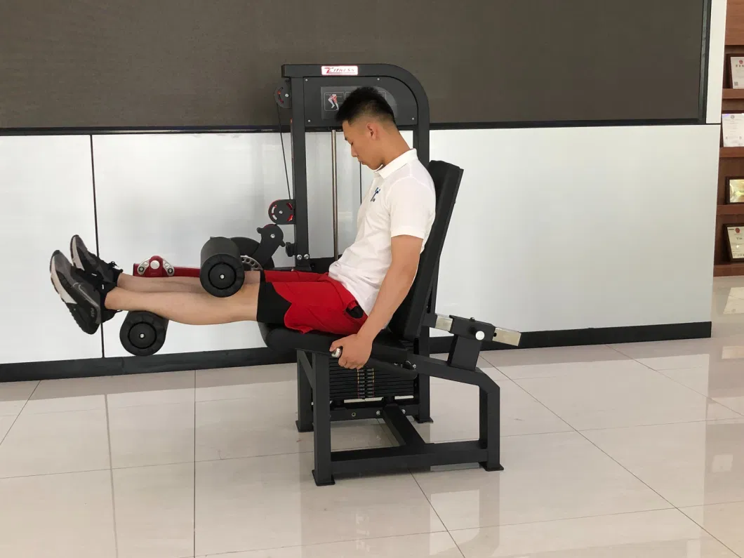 Tz-Gc-5001 Fitness Equipment Fitness Bodybuilding Strength Equipment Leg Machine Seated Leg Curl