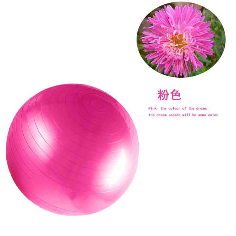 Gym Anti-Burst Inflatable Custom Logo PVC Balance Yoga Ball