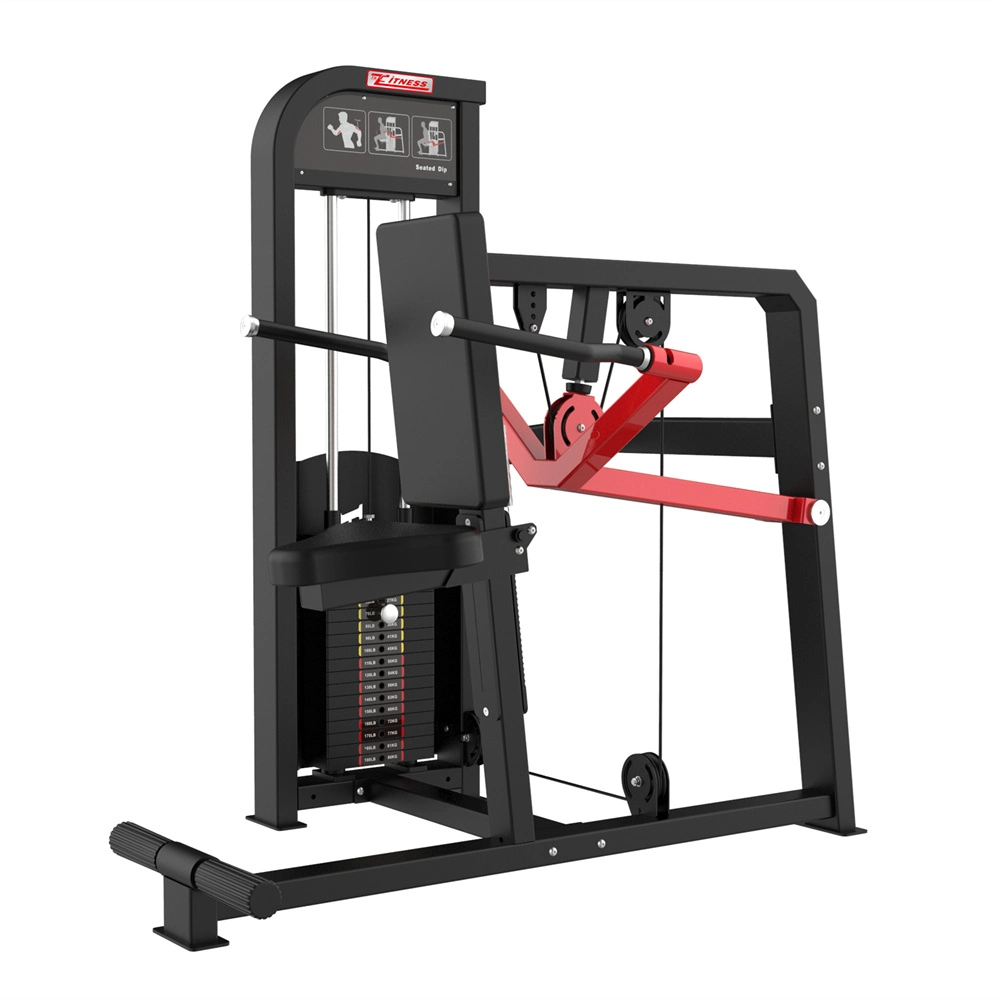 Tz-Gc5050 Best Quality Gym Equipment Triceps DIP