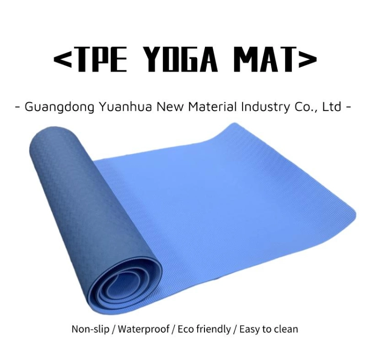 Gym Eco-Friendly Double Color Exercise Non-Slip TPE Foam Yoga Mat