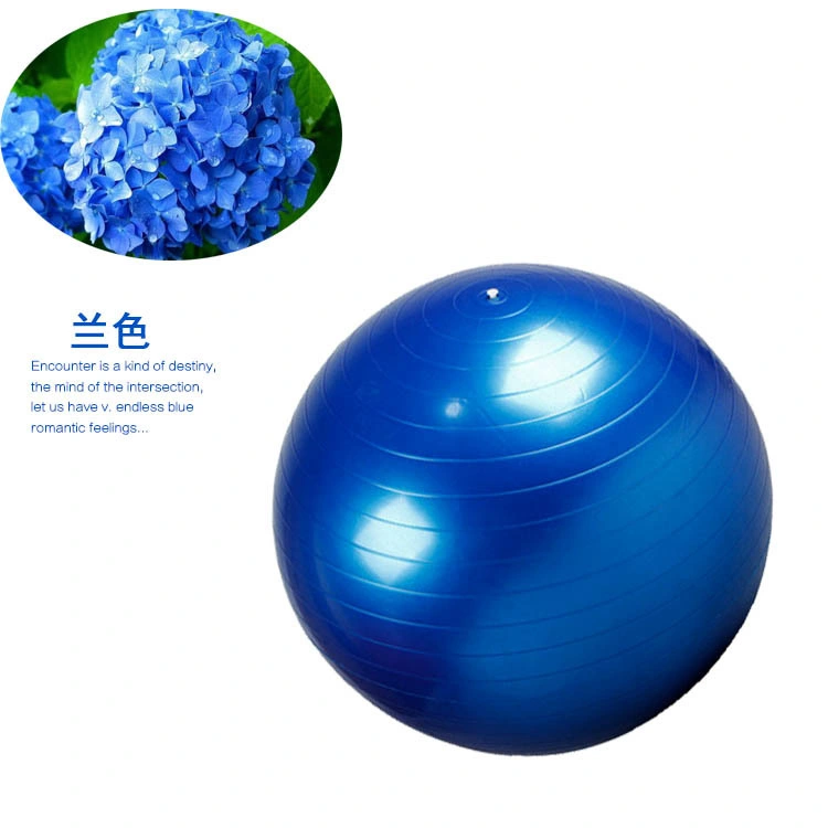 Gym Anti-Burst Inflatable Custom Logo PVC Balance Yoga Ball
