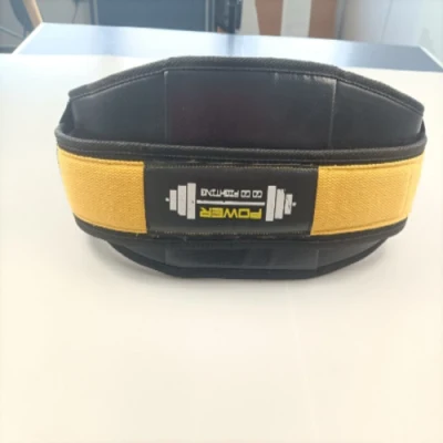  Cintura di sollevamento pesi elettrici personalizzata Body Building Fitness Gym Equipment