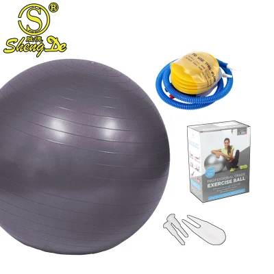  Esercizio Anti Burst 45/55/65/75cm Palline PVC Yoga