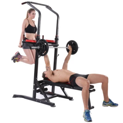  Barra di trazione multifunzionale montata a parete, altezza regolabile Eavy per impieghi gravosi Attrezzatura corpo superiore per la palestra domestica per il set Tricep Chin Torre di alimentazione della stazione DIP Up