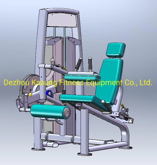 Professional Fitness Equipment / Adjustable Abdominal Bench (SS30)
