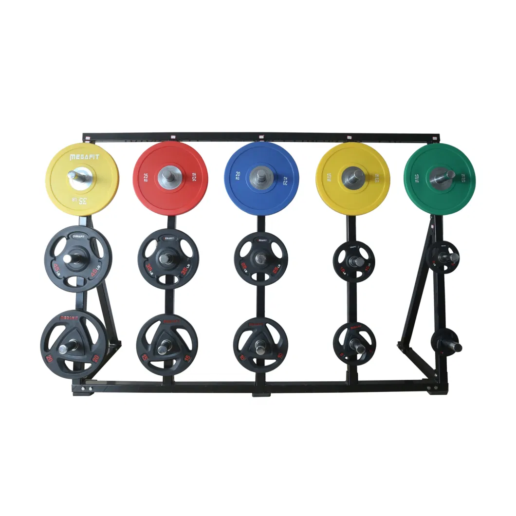 Gym Training Round CPU Head Fixed Straight and Curl Barbell