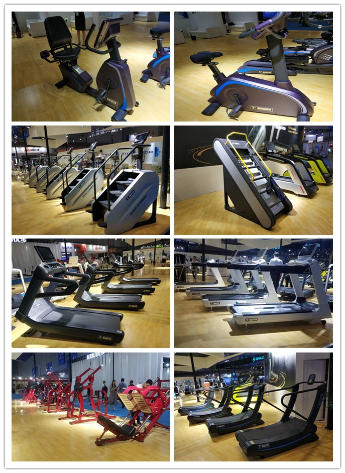Tz-6027 Gym Use Adjustable Abdominal Bench for Wholesale