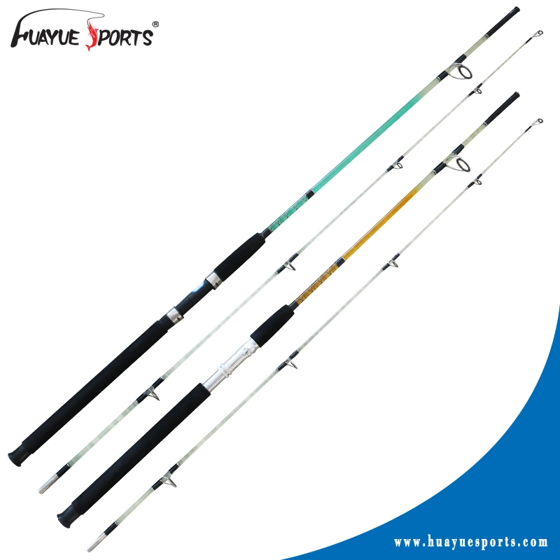 High Modulus Carbon EVA Handle 2 PCS Spinning Fishing Rod