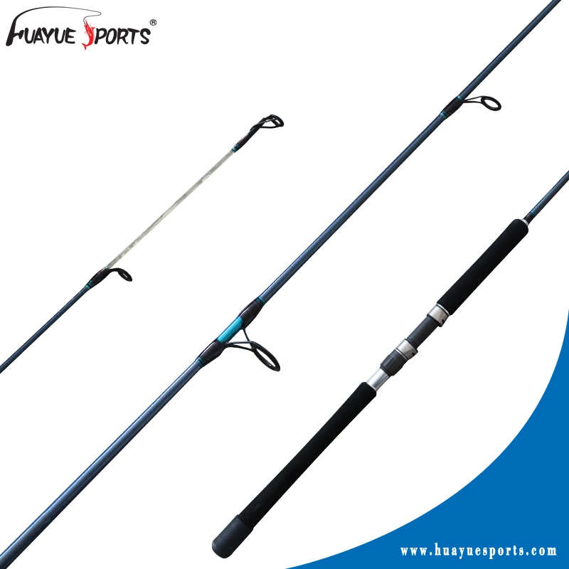 High Modulus Carbon EVA Handle 2 PCS Spinning Fishing Rod