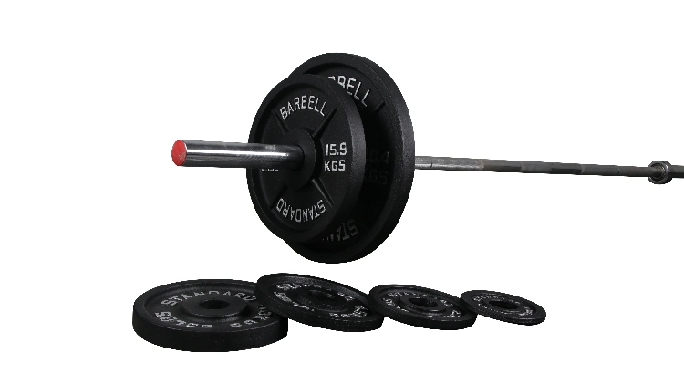 Cheap Price Fitness Body Building Gym Equipment 45lb Barbell Plates Standard Cast Iron Barbell Weight Plates
