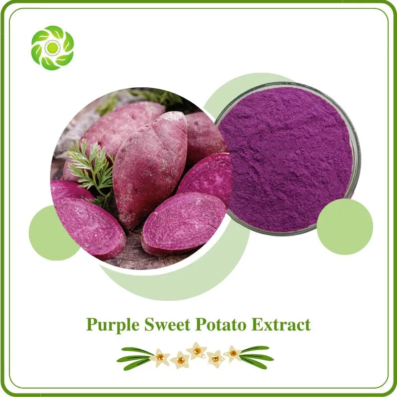 100% Natural Herb Purple Sweet Potato Extract Anthocyanin5%-50% Antioxidant Anti-Aging Lower Blood Pressure Protect The Liver