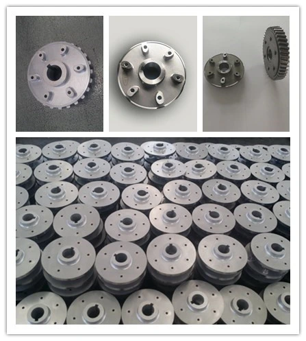 Motorcycle Engine Balance Driven Gear Plate by Powder Metallurgy