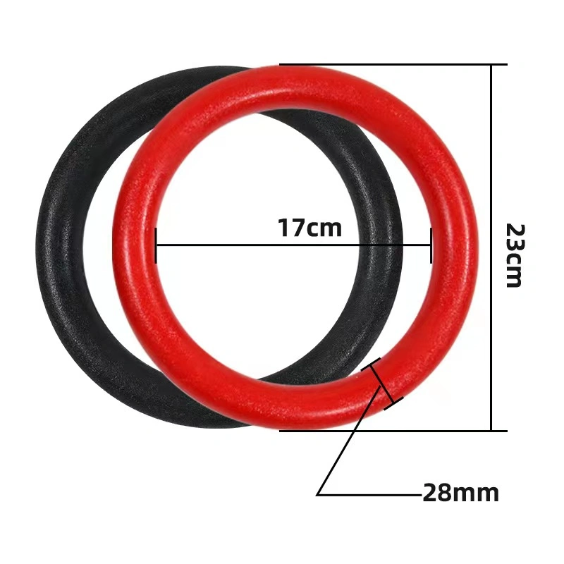 ABS Gymnastics Ring High Quality Training Gymnastics Fitness Exercise Ring