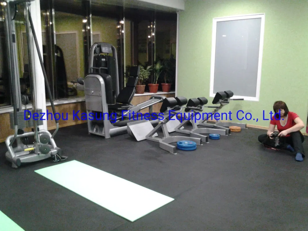 Famous Rogers Athletic Fitness Equipment Belt Squat for Fitness Center