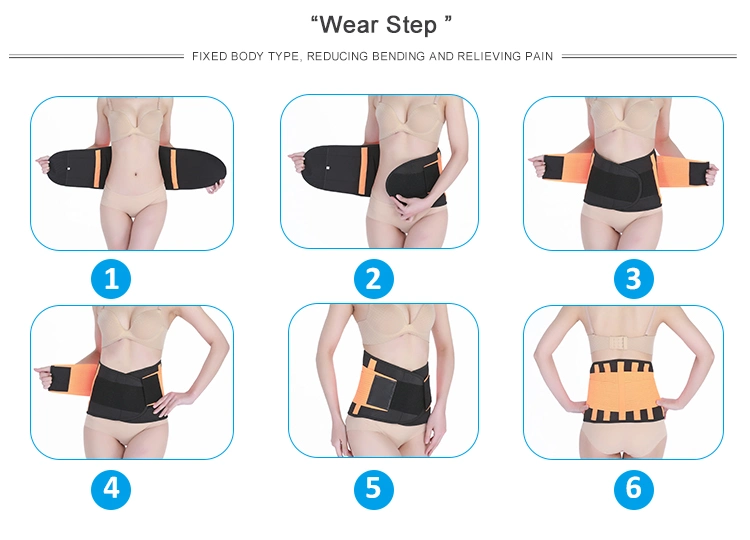 Wholesale Premium Quality Back Support Waist Brace Support with Adjustable Straps