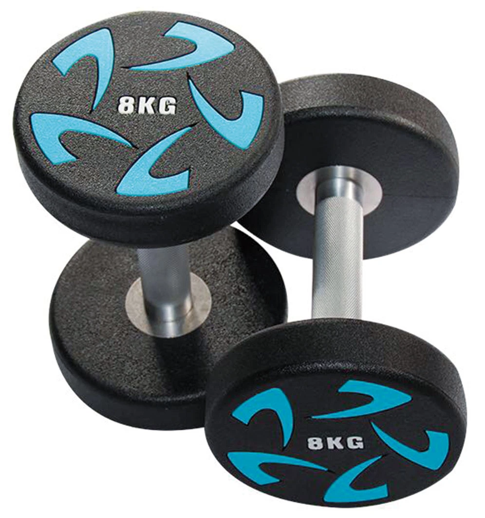 Wholesale Gym Straight Fixed CPU Dumbbell Barbell