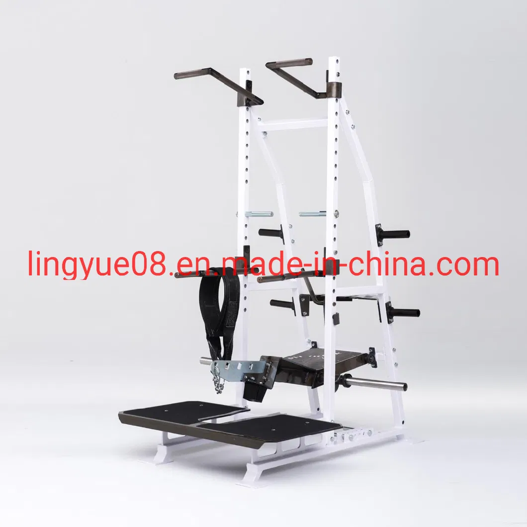 Great Quality Gym Fitness Equipment Plate Loaded Hammer Strength Machine Rogers Athletic Belt Squat with High Frame L-981A