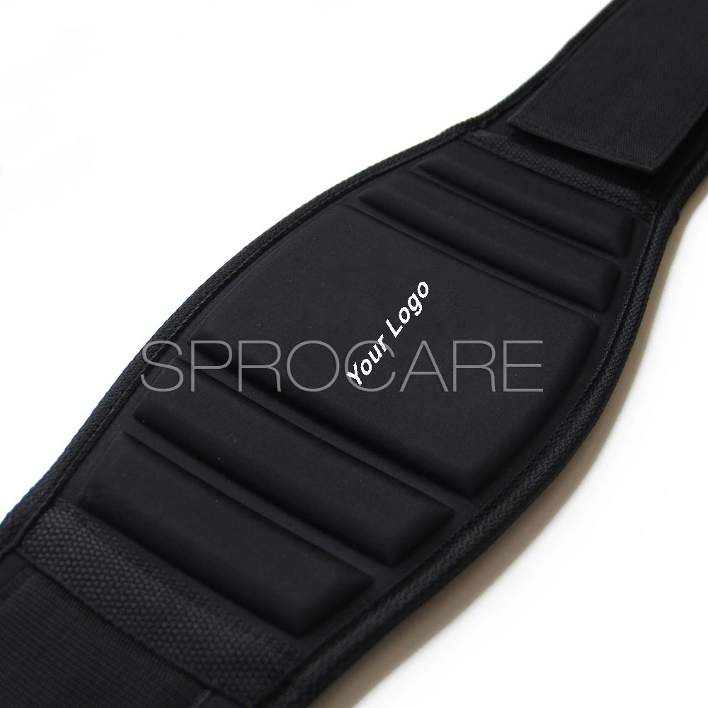 Chained Weight Lifting Belt Powerlifting Back Support Weighted DIP Belt